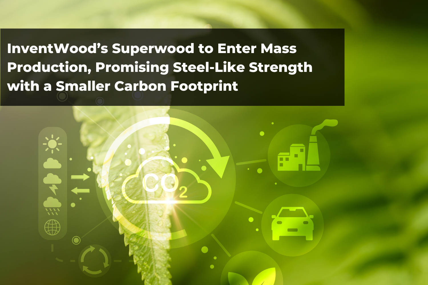 InventWood’s Superwood to Enter Mass Production, Promising Steel-Like Strength with a Smaller Carbon Footprint